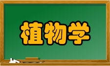 植物学微观植物学20世纪植物学研究一方面走向微观