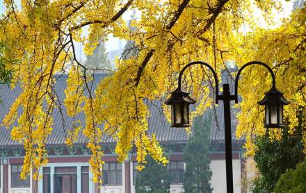 南京师范大学学术资源