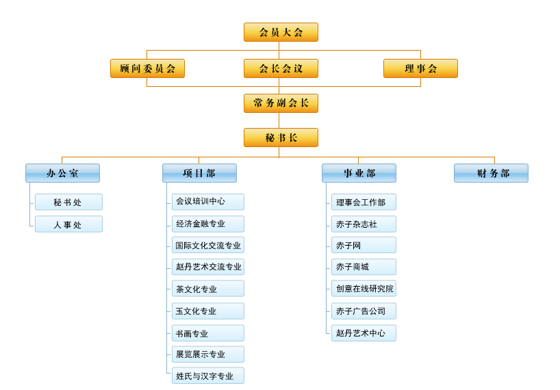 中国社会经济文化交流协会历史沿革