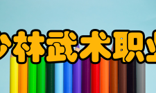 嵩山少林武术职业学院科研成果