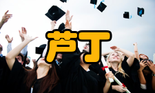 芦丁分子结构数据