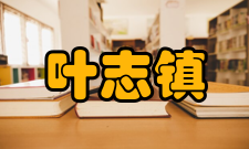 浙江大学叶志镇科研成就