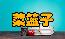 菜篮子工程历史阶段