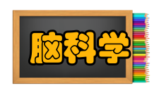 脑科学研究概况世界各国普遍重视脑科学研究