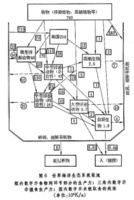 海洋生态深海生物