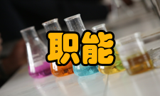 职能管理主要区别