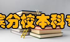 美国加利福尼亚大学河滨分校本科专业