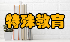特殊教育信息化