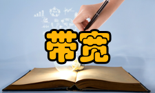 拥塞带宽容量不足