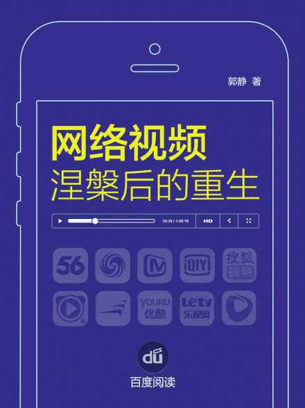 网络视频相关书籍
