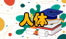 运动人体科学专业体系运动人体科学的毕业生