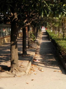 江苏省靖江中等专业学校校园设施