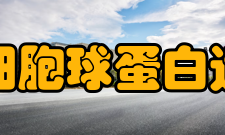抗淋巴细胞球蛋白适应证1