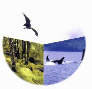 生物圈术语简介