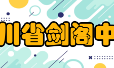 2010年四川省剑阁中学教师成绩