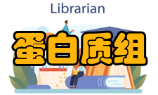 蛋白质组研究没有标尺的度量