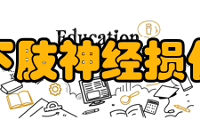 下肢神经损伤检查高频超声检查下肢神经时