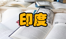 印度文学印度英语文学