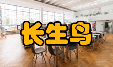 长生鸟百鸟朝凤