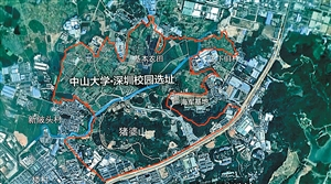 中山大学深圳校区校园环境
