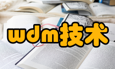 wdm技术水平