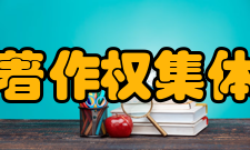 中国音像著作权集体管理协会主要职责