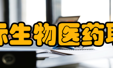 天津市国际生物医药联合研究院人才培养