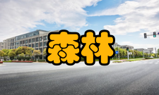 森林工程研究发表据