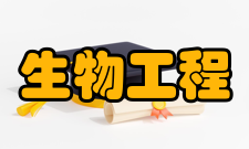 生物工程找工作