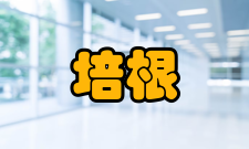 培根推荐食谱:金针菇培根卷