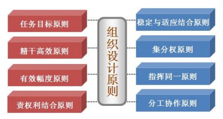 组织管理体系原则