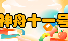 神舟十一号飞船组成