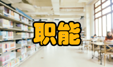 职能管理管理层次