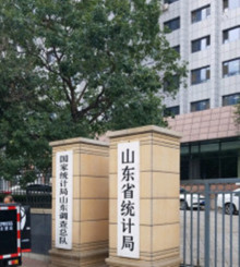 山东省统计局主要职责