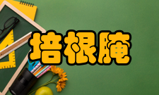 培根腌与熏用盐腌保存猪肉