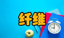 纤维鼻咽喉镜检查