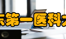 山东第一医科大学师资力量