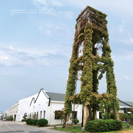 青岛纺织博物馆历史沿革