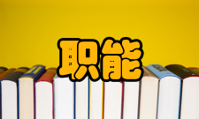 职能管理内容分析