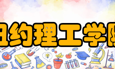 纽约理工学院学科建设