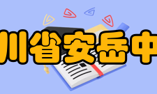 四川省安岳中学王永梭