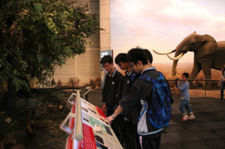 上海师范大学附属中学闵行分校名师梦