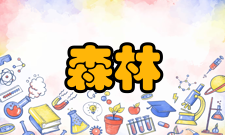 森林工程收录情况