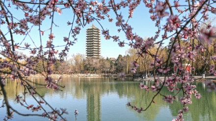 北京大学科研成果