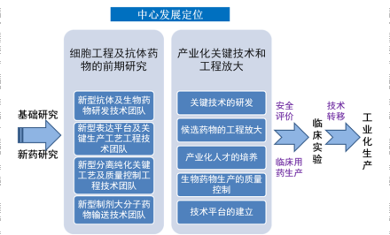 细胞工程及抗体药物