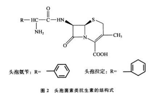 头孢菌素类抗生素不良反应