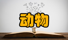 动物营养学报文化传统