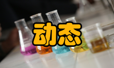 动态显存动态显存