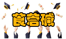 莨菪碱安全术语