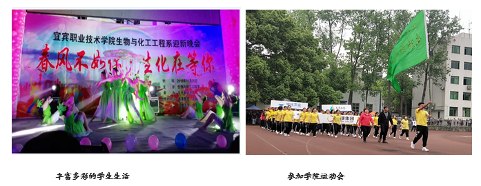 宜宾职业技术学院现代农业学院师资力量